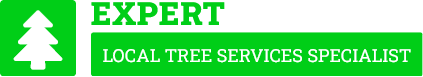 North Shore Arborist - Tree Removal North Shore